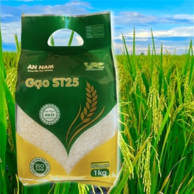 Gạo ST25 An Nam túi 1kg