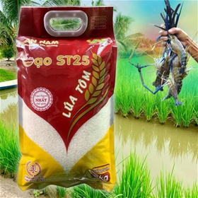 Gạo ST25 Lúa Tôm An Nam túi 5kg
