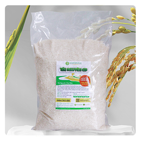 Gạo Tài Nguyên Chợ Đào Chất Việt